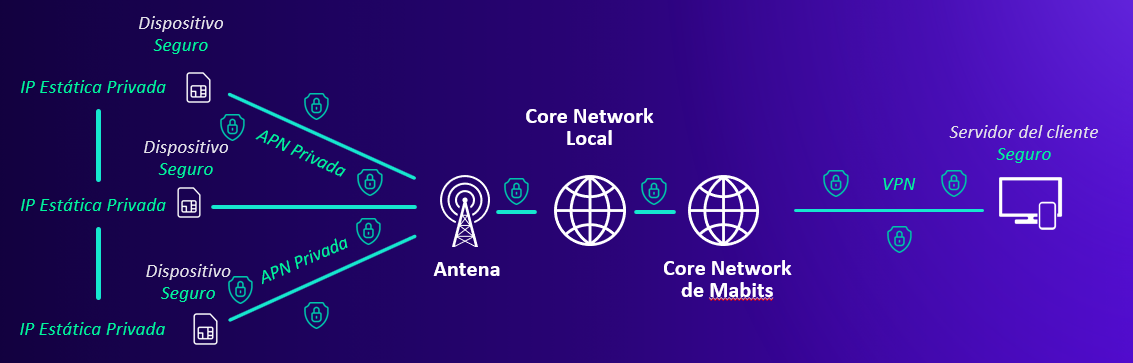 Orion Private & Dedicated Network diagram showing private IoT connectivity with VPN integration and private APN