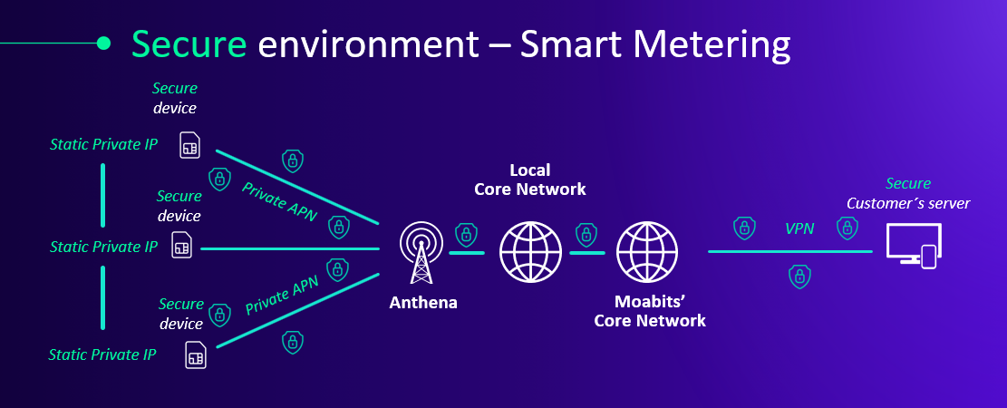 Orion Private & Dedicated Network architecture for smart metering IoT connectivity with private APN and VPN security